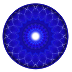 Intuit: Intuition Trainer