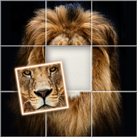 Jigsort Puz: Jigsaw Art Puzzle