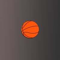 Basket Rope Zip Line