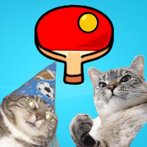 Cat Tennis Championship