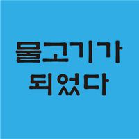 나는 물고기가 되었다