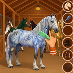 Horse Hair Salon