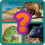 Adivinar Animales
