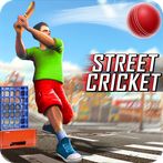 Street Criket-T20 Cricket Game