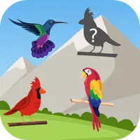 Cute Bird Puzzles 2021 Offline