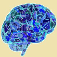 Amazing Brain:Challenge Imposs