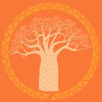 Arokin: Desvendando Reinos