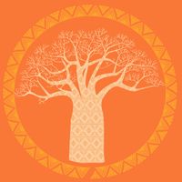 Arokin: Desvendando Reinos