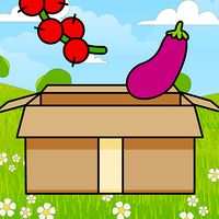 Perfect Sorter - Food Sorting