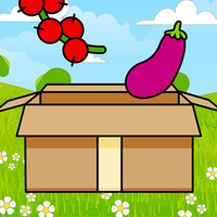 Perfect Sorter - Food Sorting