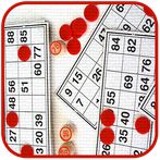 Мастер Лото