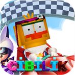 Cibilik Süper Yarış