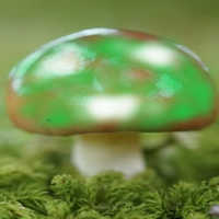 The Mushroom 2 -Incremental