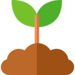 PlantQuiz