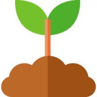 PlantQuiz