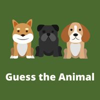 Guess the Animal