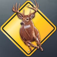 Deer Escape Endless Adventure