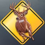 Deer Escape Endless Adventure