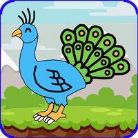 Peacock Duck Rabbit Game