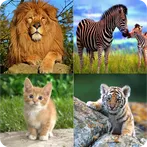 تعلم اسماء الحيوانات