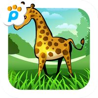 Animal world