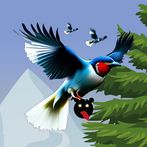 Bird Attack