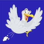 Shooti 3D- Bird Master Friends