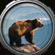 Animal Shooting:Hunting Game