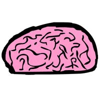 Genius Quiz