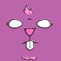 The Rabbit Crazy Adventure