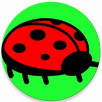 Flying ladybug