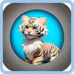 Jungle QuizQuest