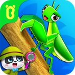 Little Panda's Insect World