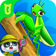 Little Panda's Insect World