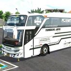 Bus Kids Panda Telolet Basuri