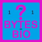 BoB Quiz 1HV1