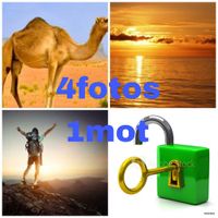 4 FOTOS 1 MOT