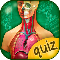 The Human Anatomy Quiz