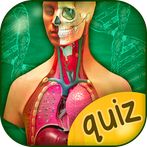 The Human Anatomy Quiz