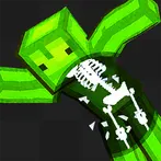 Melon Dummy