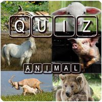 Animal Quiz