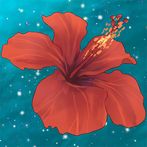 Hidden Gems of Bermuda 2