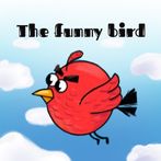 The funny bird