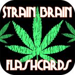 Strain Brain Flashcards