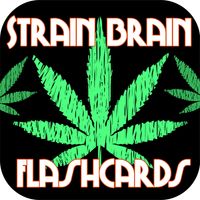 Strain Brain Flashcards