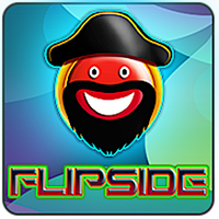 Flipside