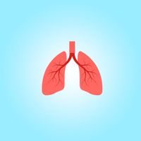 Lungs Simulator For Fun