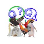새 퀴즈
