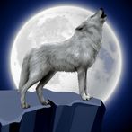 Real Wolf Games Simulator 3D