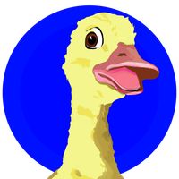 Ducker Adventure